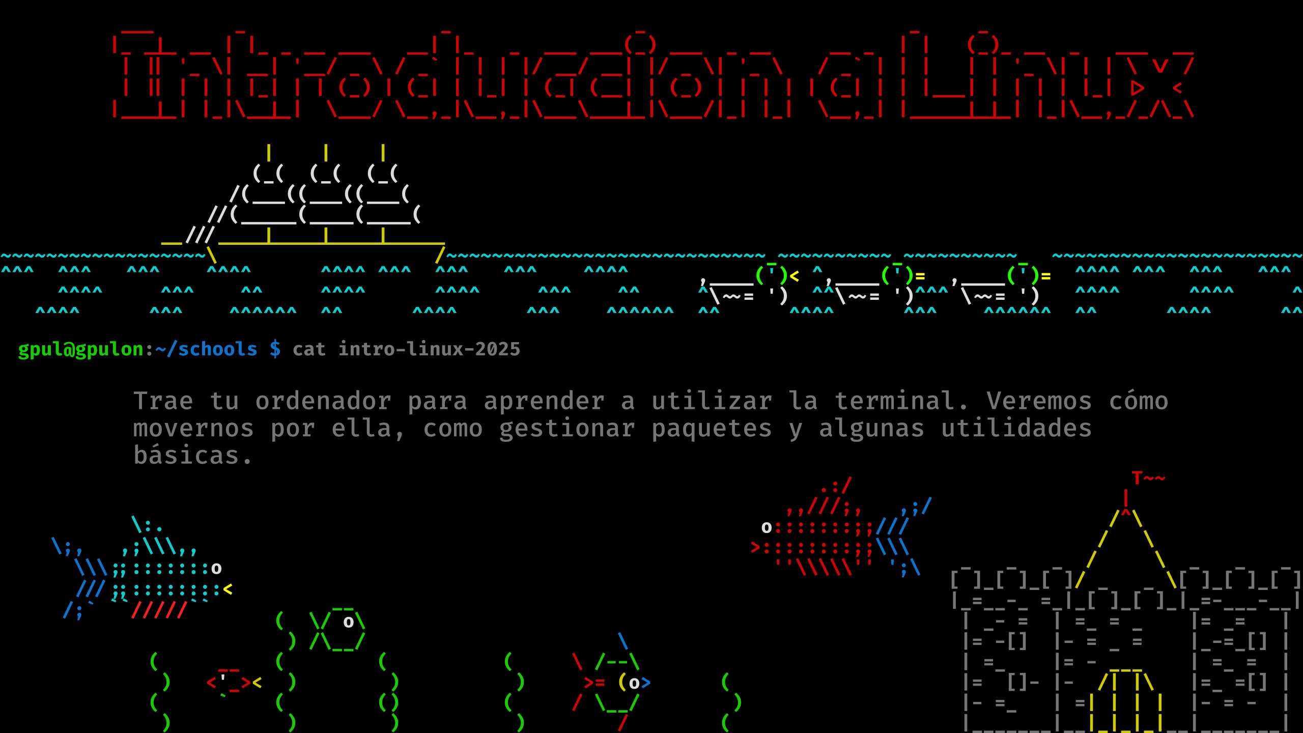 Introducción á terminal